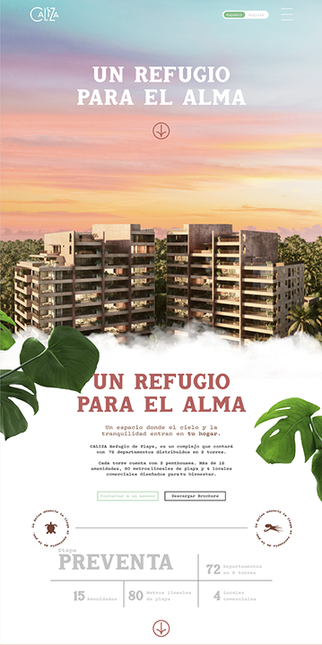 Proyecto 3