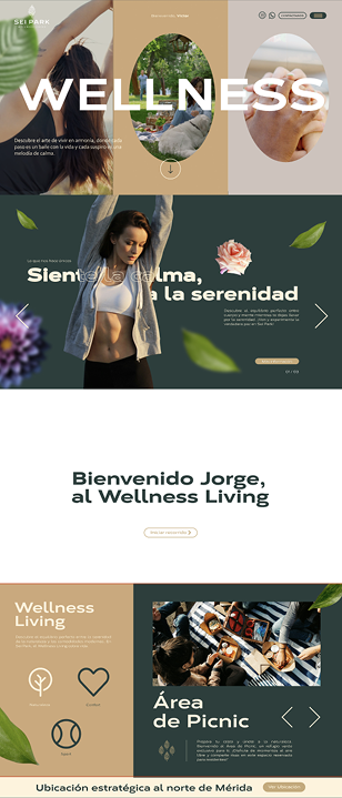 Proyecto 7
